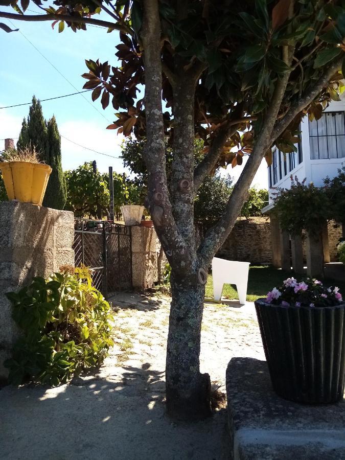 Villa Solar dos Avós Sabrosa Exterior foto